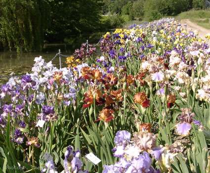 Le jardin en 2004