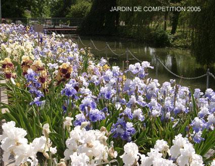 Jardin de comptition d'iris