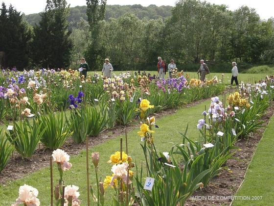 Le jardin des iris