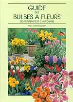 Guide des bulbes  fleursHorticolor