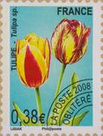 http://www.iris-bulbeuses.org/jpg/timbre/tulipe-fr-po.jpg