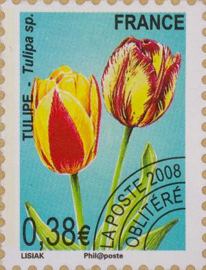 http://www.iris-bulbeuses.org/jpg/timbre/tulipe-fr-pog.jpg